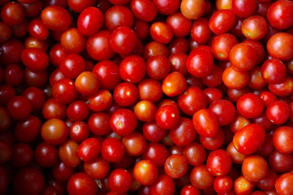 Portions et activité physique : comment équilibrer son alimentation pour un mode de vie actif